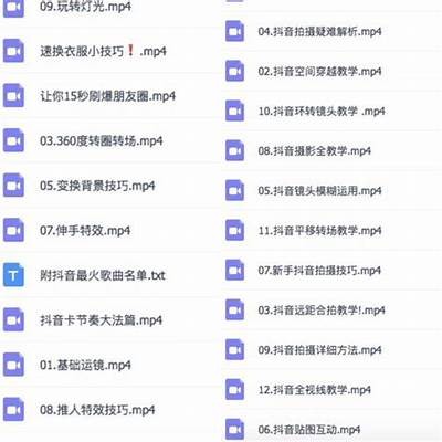 老司机分享：抖音优化技巧揭秘，助你提升账号曝光率与粉丝互动