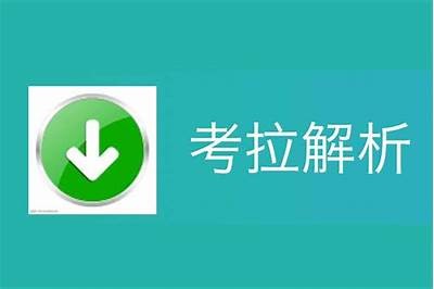 深度解析抖阴快猫：揭开社交短视频平台的秘密与魅力