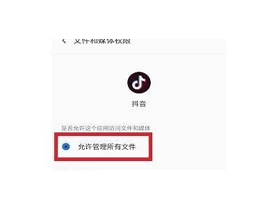 “抖音视频无法播放背景解析与对策”