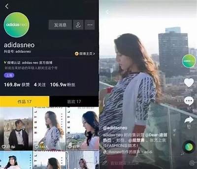 豆奶版抖阴：新一代社交娱乐平台探索与使用指南