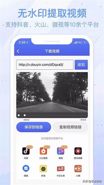 深度解析抖阴535：如何在短视频时代快速引流与变现