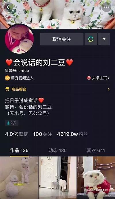九阴短视频拍摄技巧：在抖音上吸引观众的秘诀