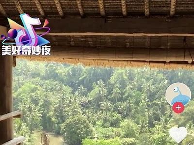 抖阴WEP：探索新一代社交媒体平台的特点与功能解析